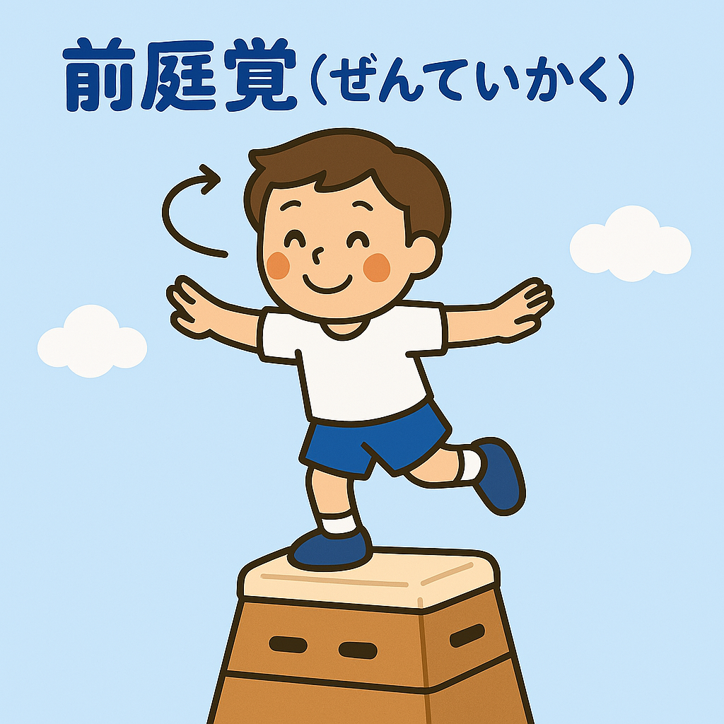 体育でつまずく理由は？感覚統合で支援 | からだの土台作り教室